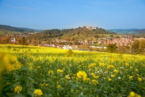Ein weitläufiges Feld mit leuchtend gelben Rapsblüten im Vordergrund, die sich bis zum Horizont erstrecken. Dahinter liegt ein malerisches Dorf mit zahlreichen Häusern, deren rote Dächer sich von den grünen und herbstlich gefärbten Bäumen abheben. Im Hintergrund, auf einer bewaldeten Anhöhe, thront eine historische Burg. Der Himmel ist klar und strahlend blau. Das Bild vermittelt den Eindruck einer sonnigen, ländlichen Szenerie im Frühling oder Herbst.