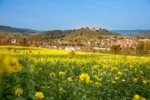 Blick über die Kerngemeinde Reichelsheim Ein weitläufiges Feld mit leuchtend gelben Rapsblüten im Vordergrund, die sich bis zum Horizont erstrecken. Dahinter liegt ein malerisches Dorf mit zahlreichen Häusern, deren rote Dächer sich von den grünen und herbstlich gefärbten Bäumen abheben. Im Hintergrund, auf einer bewaldeten Anhöhe, thront eine historische Burg. Der Himmel ist klar und strahlend blau. Das Bild vermittelt den Eindruck einer sonnigen, ländlichen Szenerie im Frühling oder Herbst.