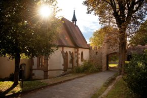 Michaelskapelle auf Schloss Reichenberg Eine alte, weiß getünchte Kapelle mit rotem Ziegeldach und einem kleinen Glockenturm steht in warmem Sonnenlicht. Die Sonne bricht strahlend hinter einem Baum auf der linken Seite hervor und erhellt die Szene. Ein gepflasterter Weg führt auf einen steinernen Torbogen zu, der Teil einer alten Befestigungsmauer ist. Rechts im Vordergrund rahmt ein großer Baum mit herbstlich gefärbten Blättern das Bild ein, weitere Bäume sind im Hintergrund zu sehen. Die Szene vermittelt eine friedliche, herbstliche Atmosphäre.
