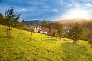 Ober-Gersprenz Ein sonniger Herbsttag zeigt einen steilen grünen Wiesenhang im Vordergrund, mit jungen Bäumen auf der linken Seite. Dahinter liegt ein kleines Dorf mit Häusern, die rote Dächer und helle Fassaden haben, umgeben von weiteren Bäumen und bewaldeten Hügeln. Die tief stehende Sonne taucht die rechte Seite der Landschaft in ein warmes goldenes Licht unter einem blauen Himmel.