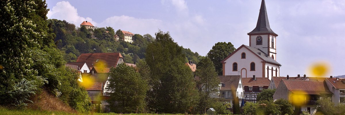 Evangelische Kirche Grüne blühende Wiese im Vordergrund mit der evangelischen Kirche im Hintergrund