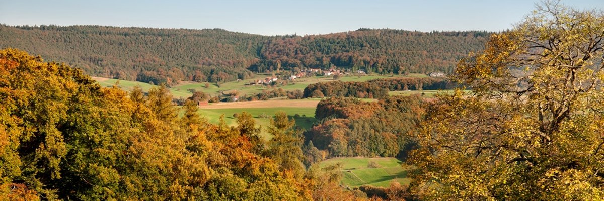 Rohrbach Herbstliche Hügellandschaft mit bunten Wäldern und grünen Feldern, im Tal ein Dorf; klarer blauer Himmel, weite Aussicht.