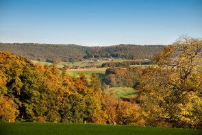 Herbstliche Hügellandschaft mit bunten Wäldern und grünen Feldern, im Tal ein Dorf; klarer blauer Himmel, weite Aussicht.