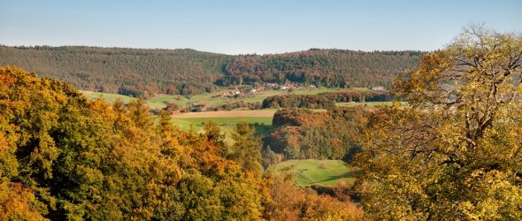 Rohrbach Herbstliche Hügellandschaft mit bunten Wäldern und grünen Feldern, im Tal ein Dorf; klarer blauer Himmel, weite Aussicht.