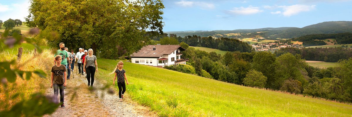 Wanderer Gruppe wandert auf einem Feldweg am Hang; grünes Tal mit Wald, Dorf und Einzelhaus unter blauem Himmel mit Wolken im Hintergrund.