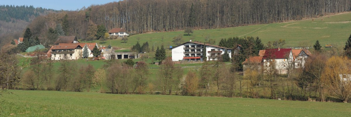 Spaziergang im Eberbacher Tal