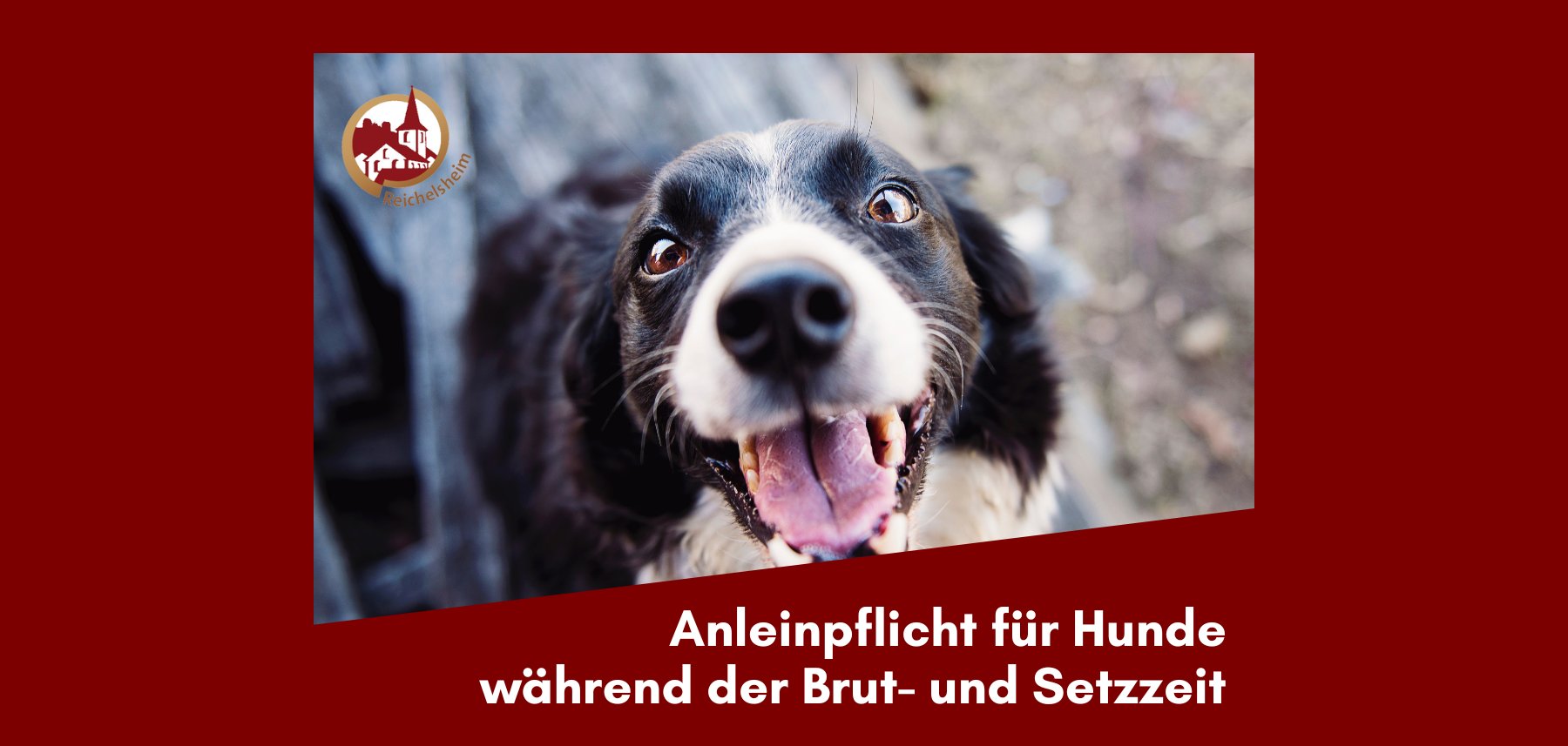 Zweigeteilte Übersicht. Auf der unteren Hälfte ist der Titel des Artikels zu lesen. Auf der oberen Hälfte ist ein zum Artikel passendes Bild platziert.