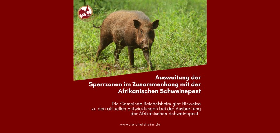 Zweigeteilte Übersicht. Auf der unteren Hälfte ist der Titel des Artikels zu lesen. Auf der oberen Hälfte ist ein zum Artikel passendes Bild platziert.