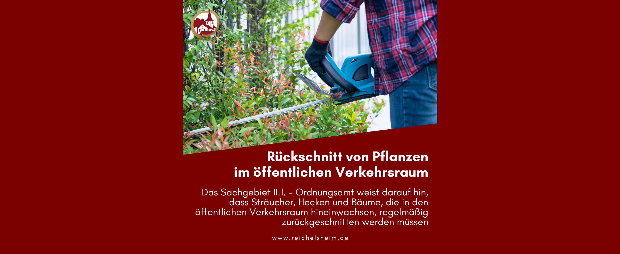 Zweigeteilte Übersicht. Auf der unteren Hälfte ist der Titel des Artikels zu lesen. Auf der oberen Hälfte ist ein zum Artikel passendes Bild platziert.