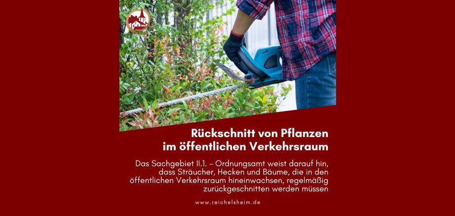 Zweigeteilte Übersicht. Auf der unteren Hälfte ist der Titel des Artikels zu lesen. Auf der oberen Hälfte ist ein zum Artikel passendes Bild platziert.