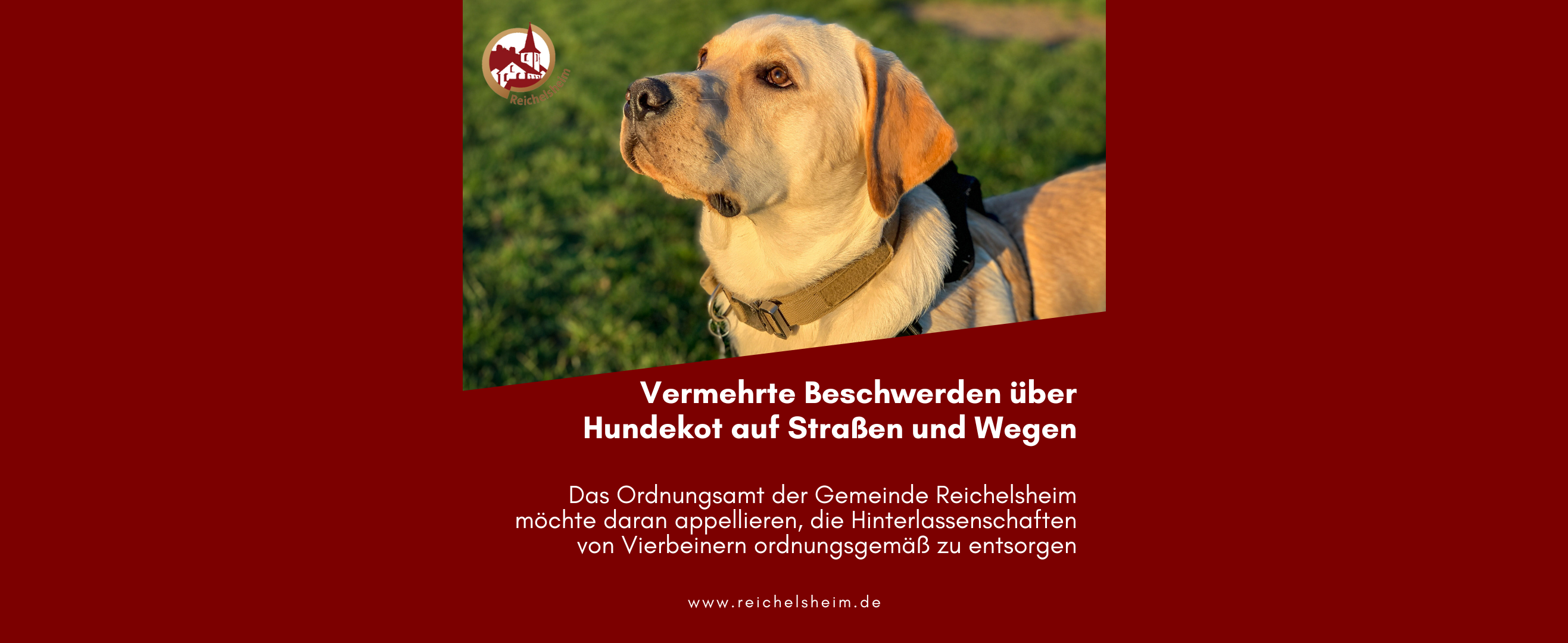 Zweigeteilte Übersicht. Auf der unteren Hälfte ist der Titel des Artikels zu lesen. Auf der oberen Hälfte ist ein zum Artikel passendes Bild platziert.