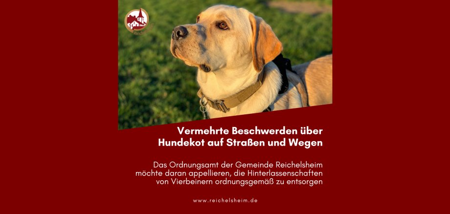 Zweigeteilte Übersicht. Auf der unteren Hälfte ist der Titel des Artikels zu lesen. Auf der oberen Hälfte ist ein zum Artikel passendes Bild platziert.