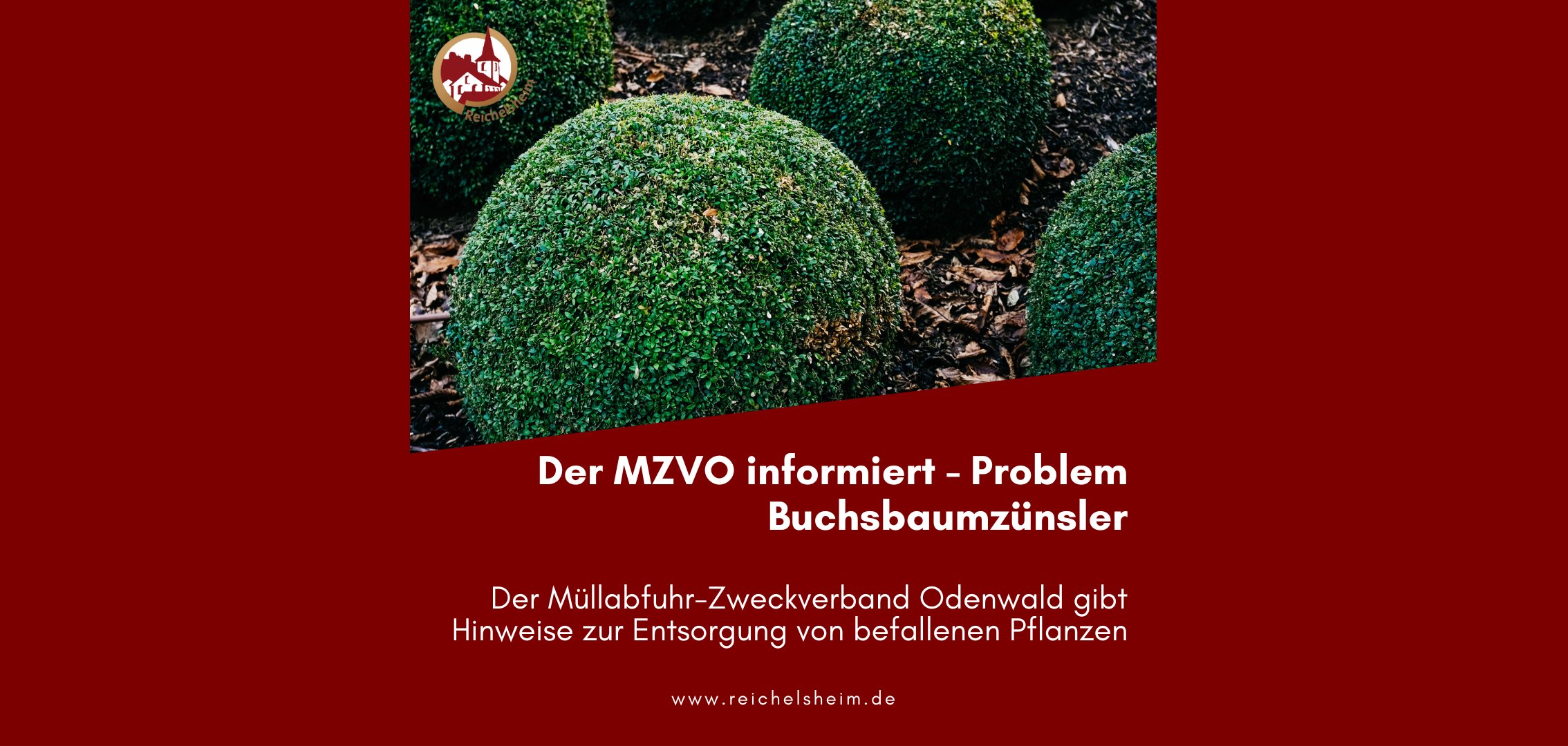 Zweigeteilte Übersicht. Auf der unteren Hälfte ist der Titel des Artikels zu lesen. Auf der oberen Hälfte ist ein zum Artikel passendes Bild platziert.