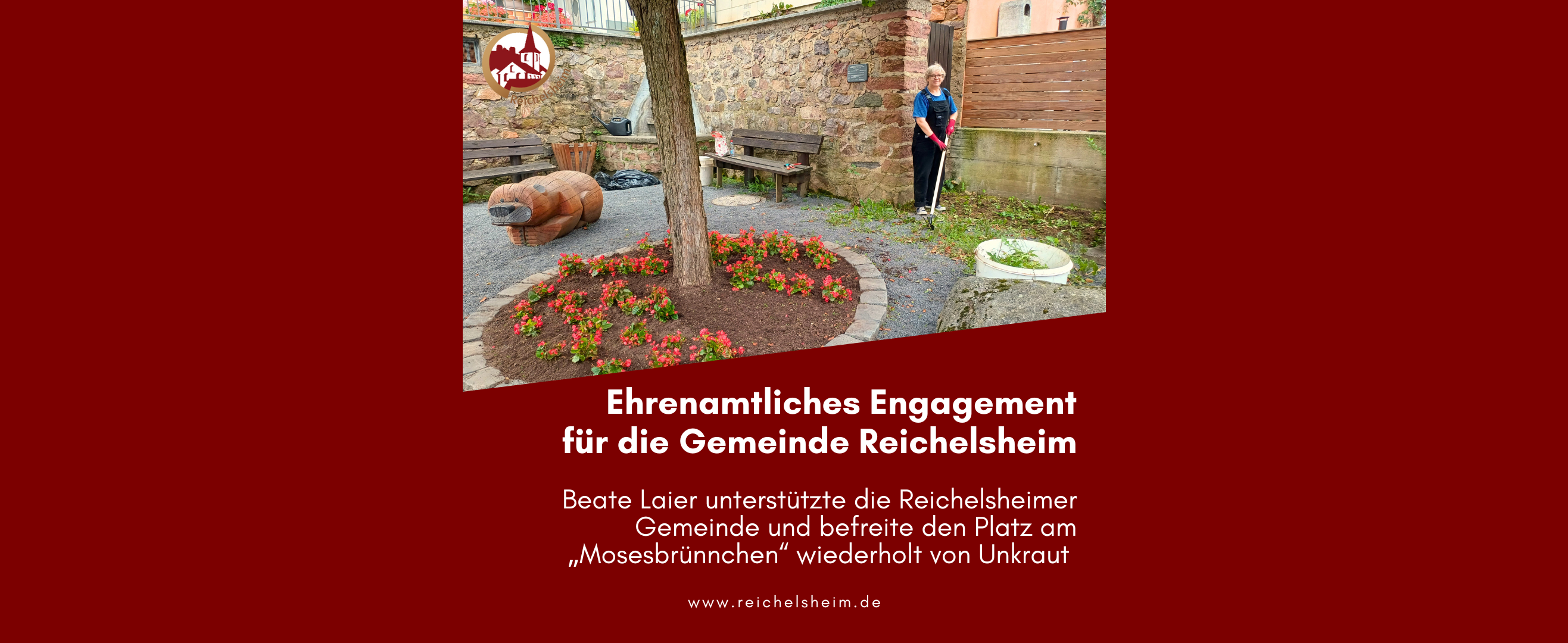 Zweigeteilte Übersicht. Auf der unteren Hälfte ist der Titel des Artikels zu lesen. Auf der oberen Hälfte ist ein zum Artikel passendes Bild platziert.