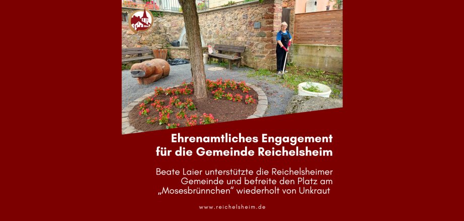 Zweigeteilte Übersicht. Auf der unteren Hälfte ist der Titel des Artikels zu lesen. Auf der oberen Hälfte ist ein zum Artikel passendes Bild platziert.