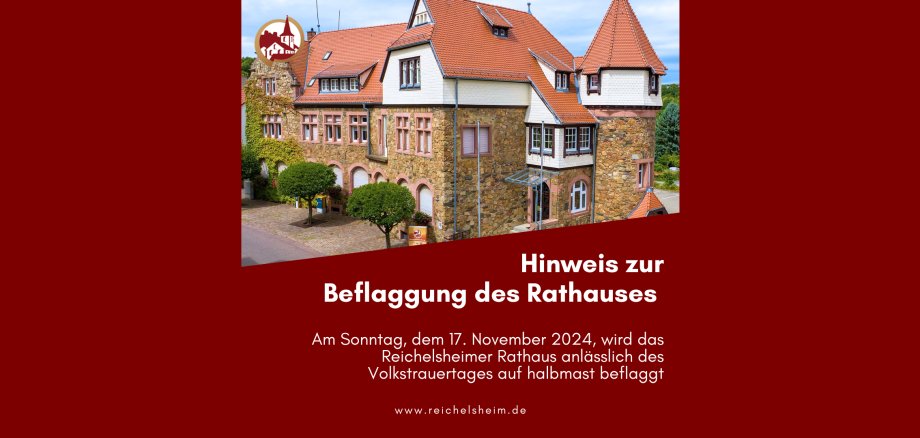 Zweigeteilte Übersicht. Auf der unteren Hälfte ist der Titel des Artikels zu lesen. Auf der oberen Hälfte ist ein zum Artikel passendes Bild platziert.