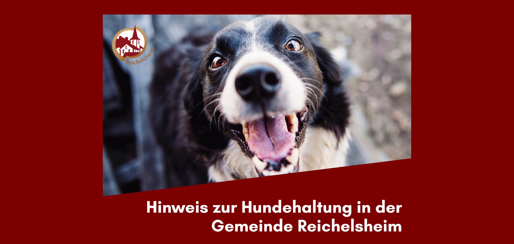 Zweigeteilte Übersicht. Auf der unteren Hälfte ist der Titel des Artikels zu lesen. Auf der oberen Hälfte ist ein zum Artikel passendes Bild platziert.