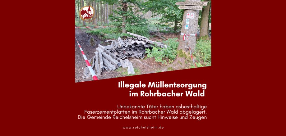 Zweigeteilte Übersicht. Auf der unteren Hälfte ist der Titel des Artikels zu lesen. Auf der oberen Hälfte ist ein zum Artikel passendes Bild platziert.