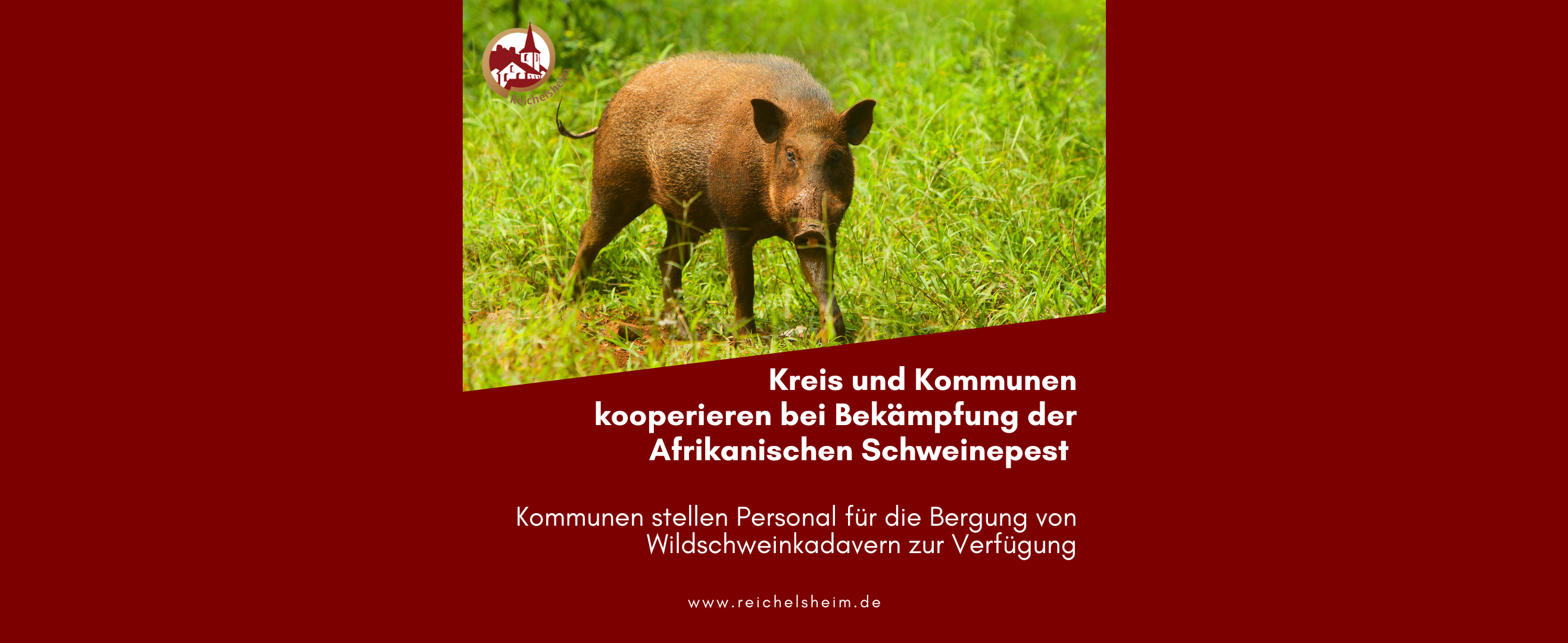 Zweigeteilte Übersicht. Auf der unteren Hälfte ist der Titel des Artikels zu lesen. Auf der oberen Hälfte ist ein zum Artikel passendes Bild platziert.