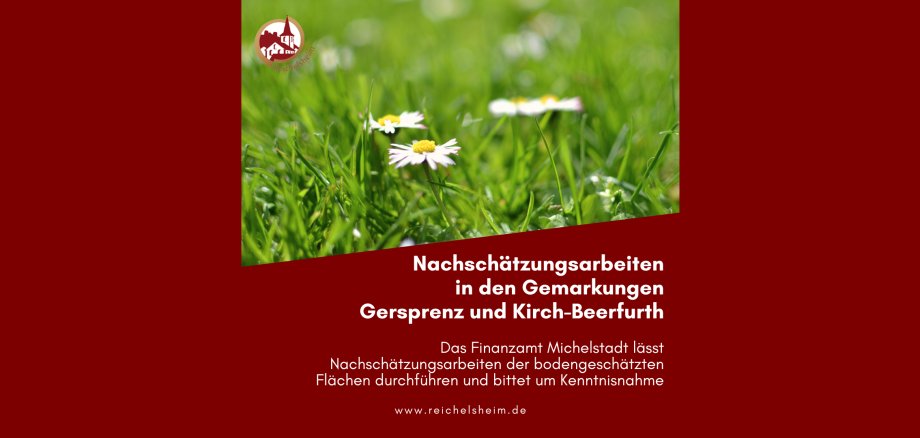 Zweigeteilte Übersicht. Auf der unteren Hälfte ist der Titel des Artikels zu lesen. Auf der oberen Hälfte ist ein zum Artikel passendes Bild platziert.