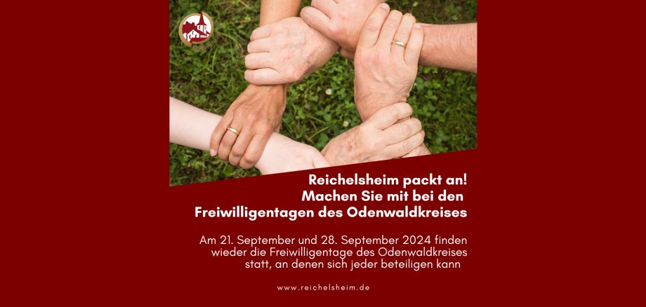 Zweigeteilte Übersicht. Auf der unteren Hälfte ist der Titel des Artikels zu lesen. Auf der oberen Hälfte ist ein zum Artikel passendes Bild platziert.