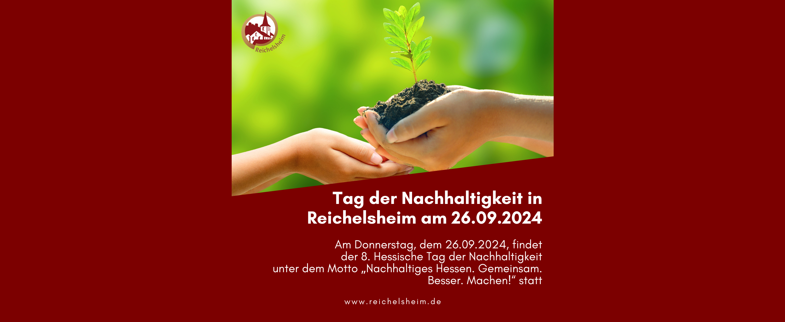 Zweigeteilte Übersicht. Auf der unteren Hälfte ist der Titel des Artikels zu lesen. Auf der oberen Hälfte ist ein zum Artikel passendes Bild platziert.