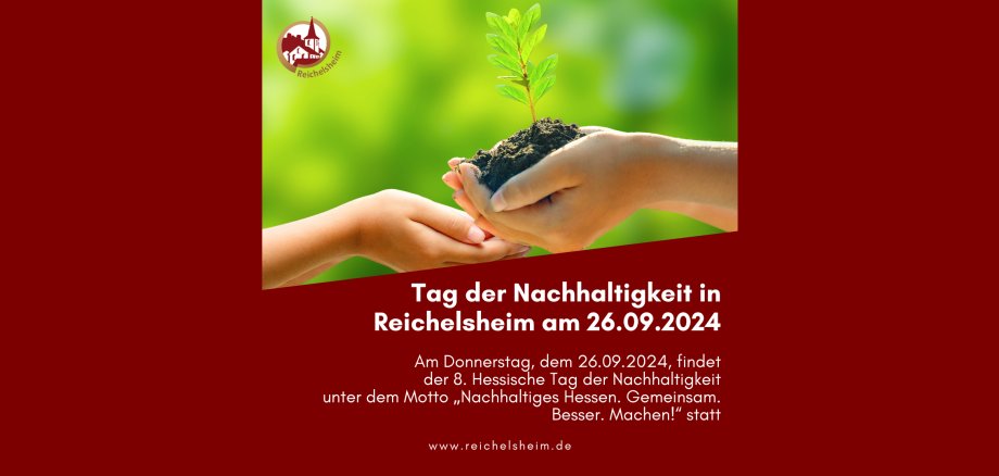 Zweigeteilte Übersicht. Auf der unteren Hälfte ist der Titel des Artikels zu lesen. Auf der oberen Hälfte ist ein zum Artikel passendes Bild platziert.