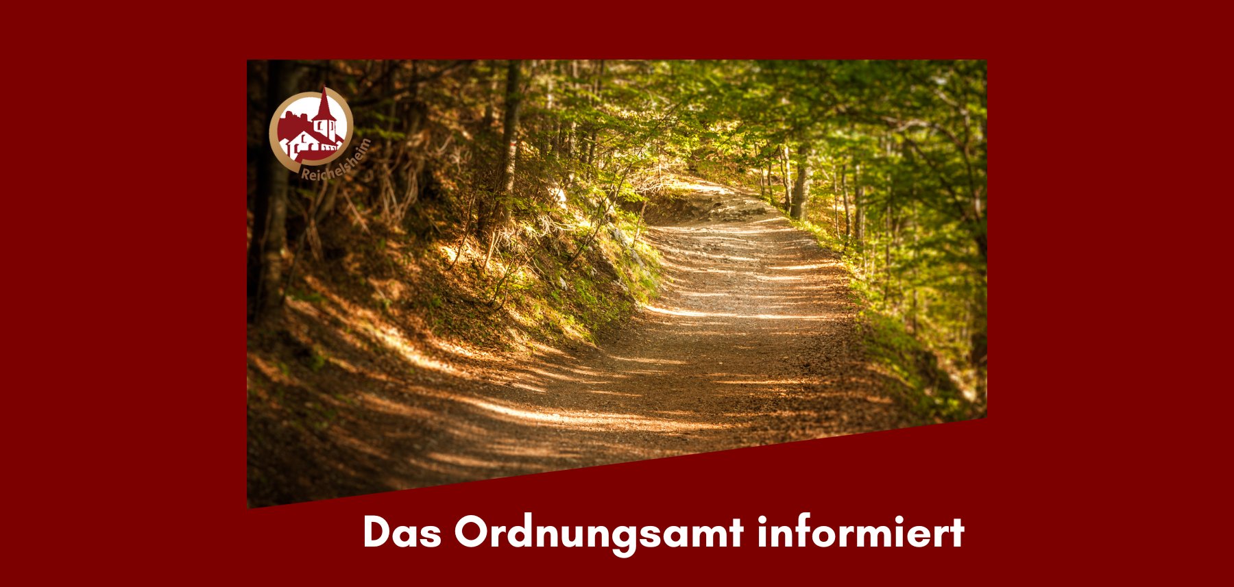 Zweigeteilte Übersicht. Auf der unteren Hälfte ist der Titel des Artikels zu lesen. Auf der oberen Hälfte ist ein zum Artikel passendes Bild platziert.