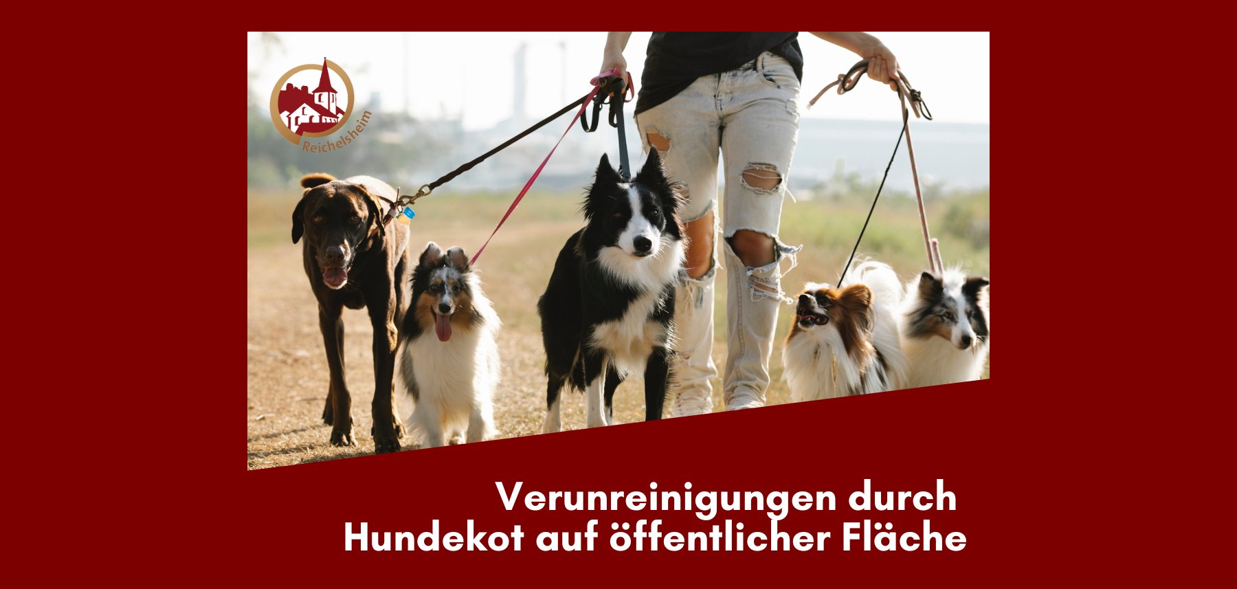 Zweigeteilte Übersicht. Auf der unteren Hälfte ist der Titel des Artikels zu lesen. Auf der oberen Hälfte ist ein zum Artikel passendes Bild platziert.