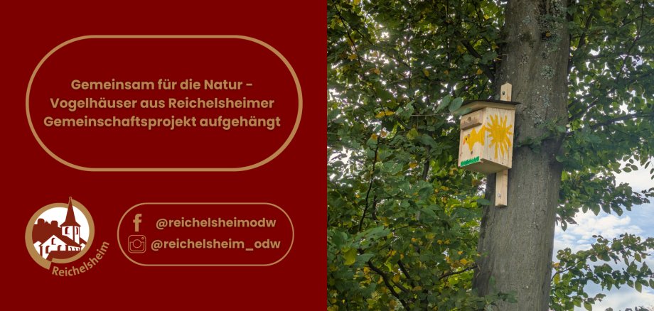 Zweigeteilte Übersicht. Auf der linken Seite ist der Titel des Artikels zu lesen und ein Hinweis auf die Social Media Kanäle der Gemeinde Reichelsheim zu sehen. Auf der rechten Seite ist ein zum Artikel passendes Bild platziert.