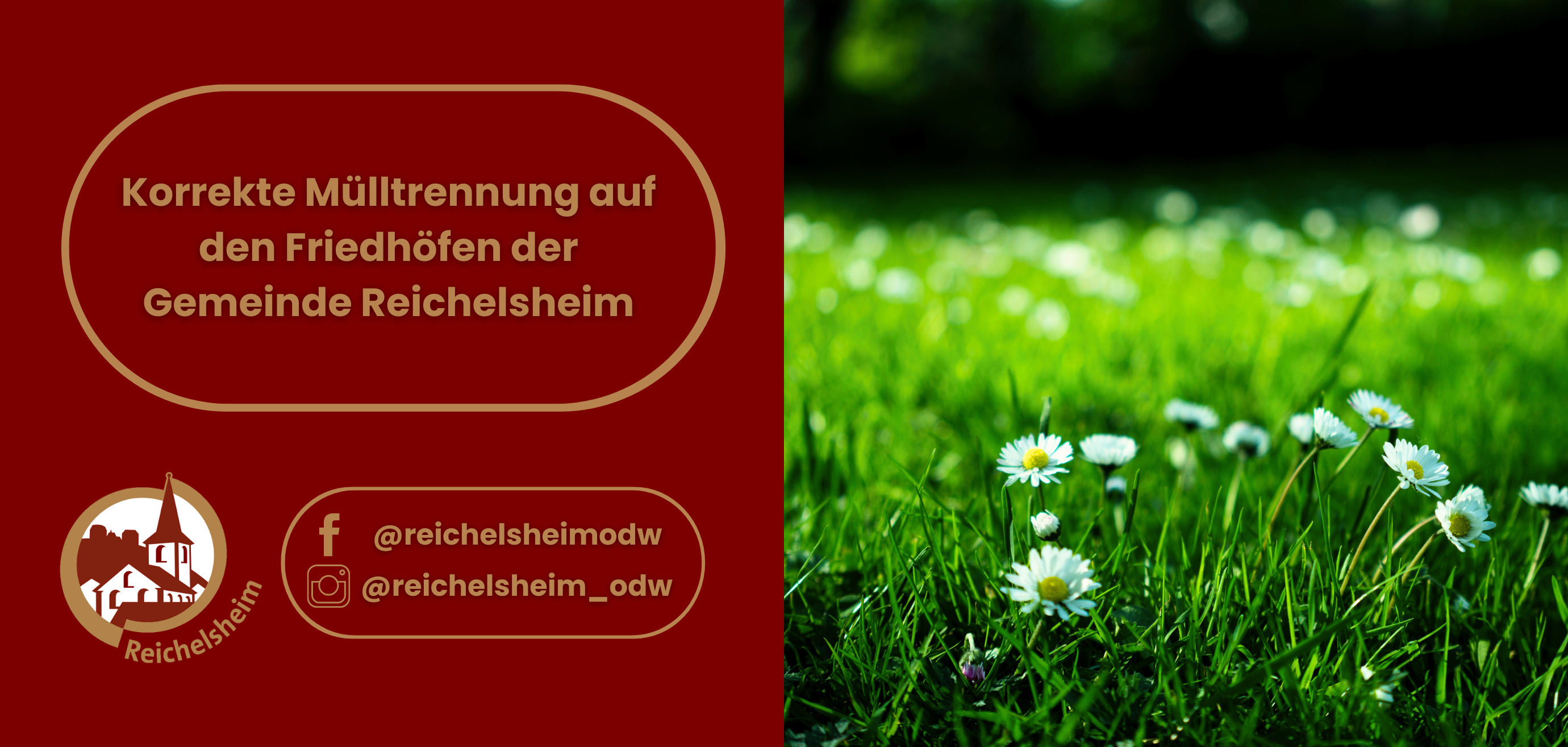 Zweigeteilte Übersicht. Auf der linken Seite ist der Titel des Artikels zu lesen und ein Hinweis auf die Social Media Kanäle der Gemeinde Reichelsheim zu sehen. Auf der rechten Seite ist ein zum Artikel passendes Bild platziert.
