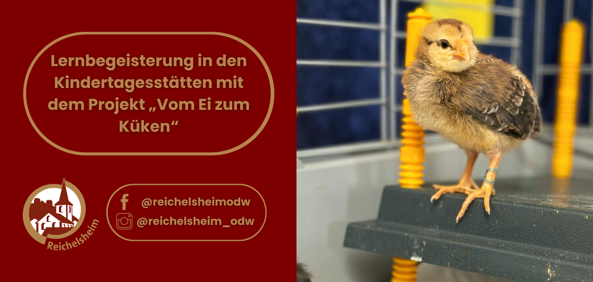 Zweigeteilte Übersicht. Auf der linken Seite ist der Titel des Artikels zu lesen und ein Hinweis auf die Social Media Kanäle der Gemeinde Reichelsheim zu sehen. Auf der rechten Seite ist ein zum Artikel passendes Bild platziert.