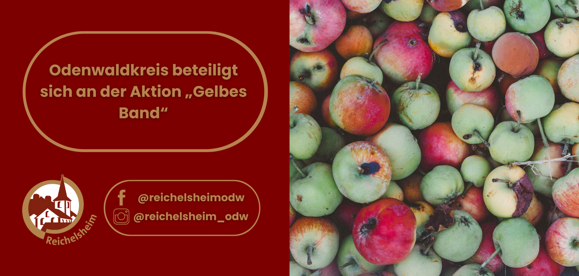 Zweigeteilte Übersicht. Auf der linken Seite ist der Titel des Artikels zu lesen und ein Hinweis auf die Social Media Kanäle der Gemeinde Reichelsheim zu sehen. Auf der rechten Seite ist ein zum Artikel passendes Bild platziert.