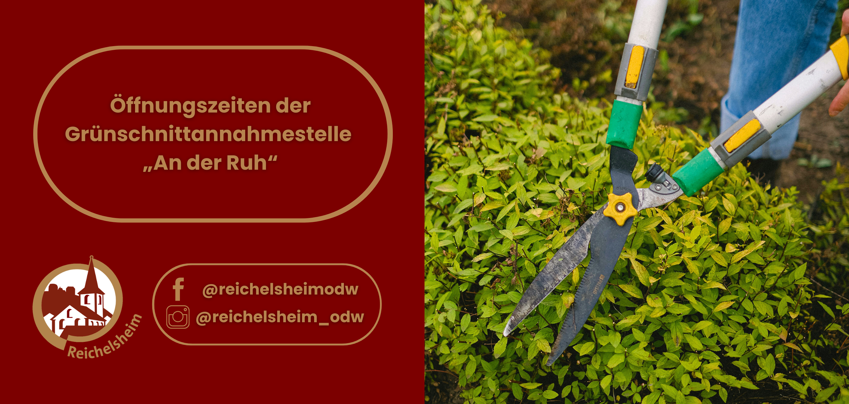 Zweigeteilte Übersicht. Auf der linken Seite ist der Titel des Artikels zu lesen und ein Hinweis auf die Social Media Kanäle der Gemeinde Reichelsheim zu sehen. Auf der rechten Seite ist ein zum Artikel passendes Bild platziert.