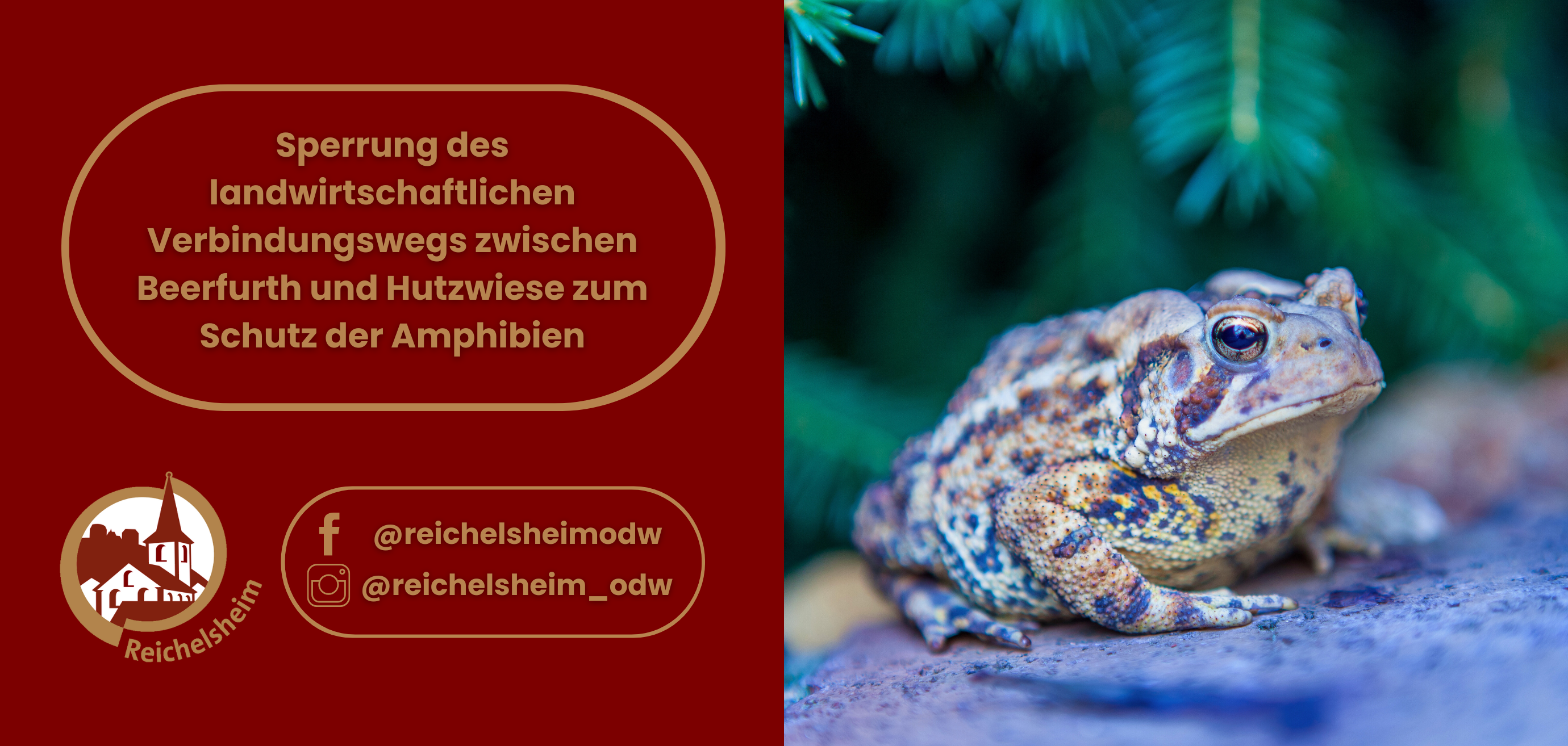 Zweigeteilte Übersicht. Auf der linken Seite ist der Titel des Artikels zu lesen und ein Hinweis auf die Social Media Kanäle der Gemeinde Reichelsheim zu sehen. Auf der rechten Seite ist ein zum Artikel passendes Bild platziert.