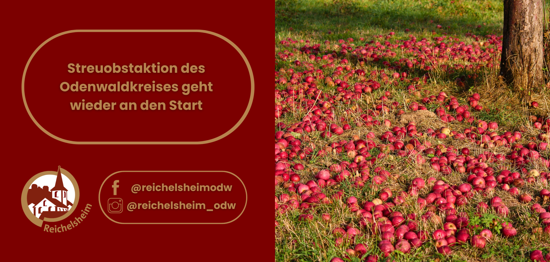 Zweigeteilte Übersicht. Auf der linken Seite ist der Titel des Artikels zu lesen und ein Hinweis auf die Social Media Kanäle der Gemeinde Reichelsheim zu sehen. Auf der rechten Seite ist ein zum Artikel passendes Bild platziert.