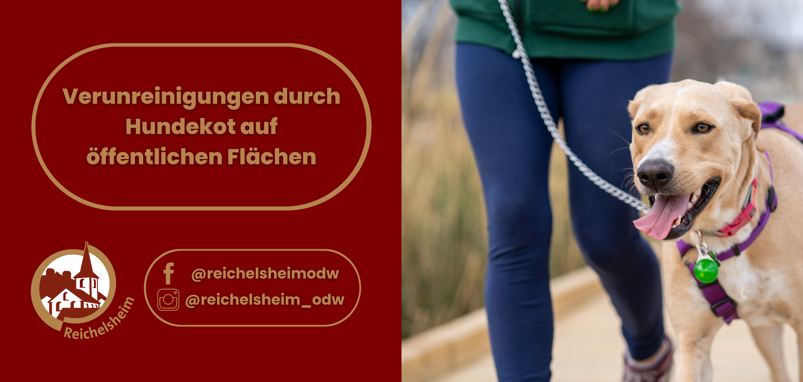 Zweigeteilte Übersicht. Auf der linken Seite ist der Titel des Artikels zu lesen und ein Hinweis auf die Social Media Kanäle der Gemeinde Reichelsheim zu sehen. Auf der rechten Seite ist ein zum Artikel passendes Bild platziert.