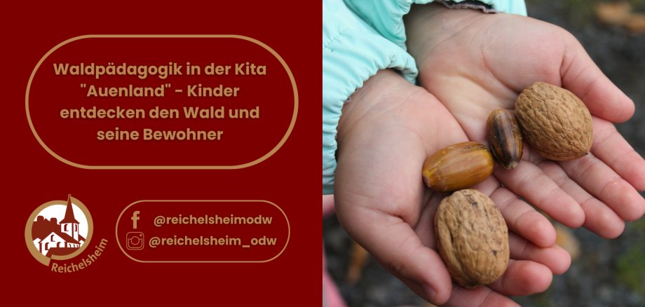 Zweigeteilte Übersicht. Auf der linken Seite ist der Titel des Artikels zu lesen und ein Hinweis auf die Social Media Kanäle der Gemeinde Reichelsheim zu sehen. Auf der rechten Seite ist ein zum Artikel passendes Bild platziert.