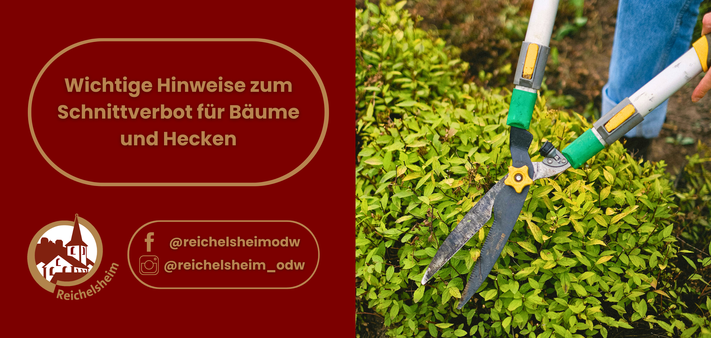 Zweigeteilte Übersicht. Auf der linken Seite ist der Titel des Artikels zu lesen und ein Hinweis auf die Social Media Kanäle der Gemeinde Reichelsheim zu sehen. Auf der rechten Seite ist ein zum Artikel passendes Bild platziert.