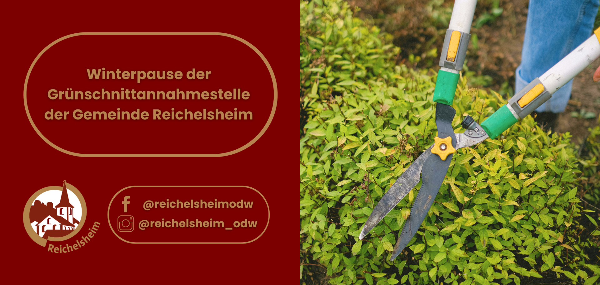 Ankündigung der Gemeinde Reichelsheim: Winterpause der Grünschnittannahmestelle. Das Bild zeigt eine große Gartenschere, die einen grünen Strauch schneidet, umgeben von Textfeldern mit der Ankündigung, dem Logo der Gemeinde Reichelsheim (weiße Kirchtürme und Häuser in einem Kreis) und den Social-Media-Kanälen @reichelsheimodw (Facebook) und @reichelsheim_odw (Instagram).