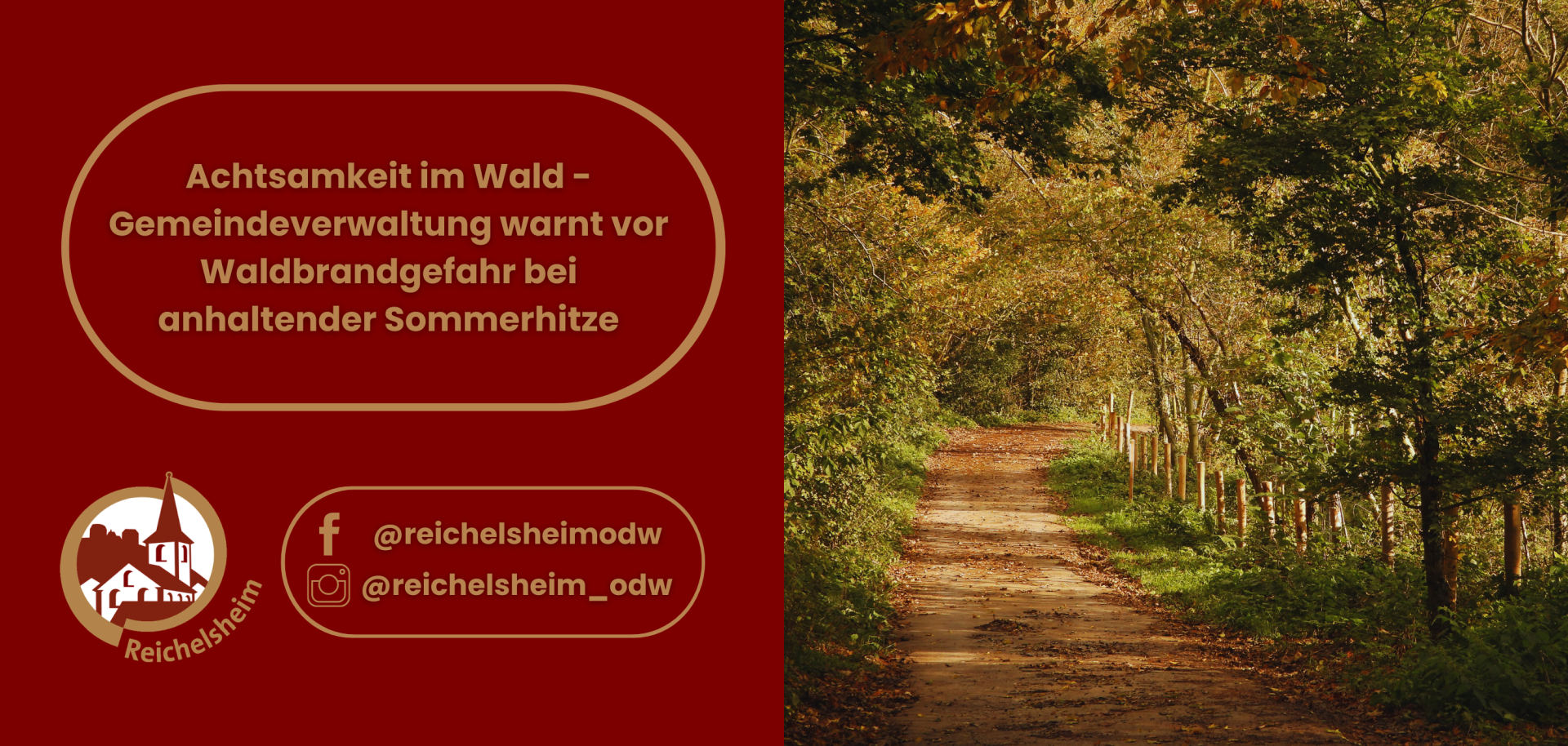 Gemeindeverwaltung warnt vor Waldbrandgefahr bei Sommerhitze. Logo Reichelsheim und ein herbstlicher Waldweg mit Bäumen.
