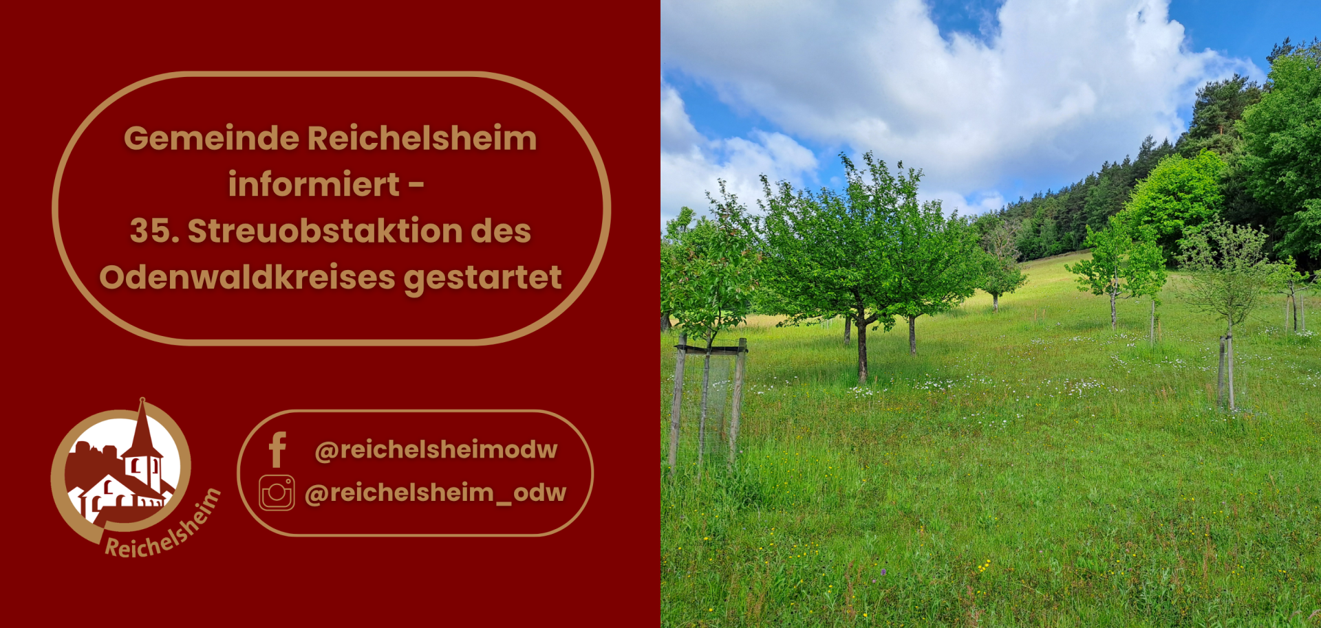 Grafik der Gemeinde Reichelsheim zur 35. Streuobstaktion des Odenwaldkreises mit einer Streuobstwiese und jungen Obstbäumen.