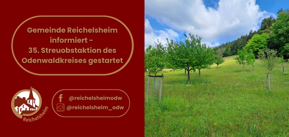 Gemeinde Reichelsheim informiert - 35. Streuobstaktion des Odenwaldkreises gestartet Grafik der Gemeinde Reichelsheim zur 35. Streuobstaktion des Odenwaldkreises mit einer Streuobstwiese und jungen Obstbäumen.