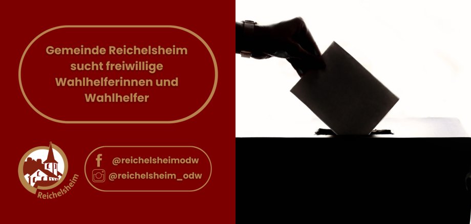 Werbebanner der Gemeinde Reichelsheim zur Suche von Wahlhelferinnen und Wahlhelfern. Auf dunkelrotem Grund steht in goldener Schrift: "Gemeinde Reichelsheim sucht freiwillige Wahlhelferinnen und Wahlhelfer". Darunter ist das goldene Logo der Gemeinde Reichelsheim (stilisierte Kirche) und Social-Media-Kontakte (@reichelsheimodw auf Facebook, @reichelsheim_odw auf Instagram) zu sehen. Die rechte Bildhälfte zeigt eine Schwarz-Weiß-Silhouette einer Hand, die einen Stimmzettel in eine Wahlurne wirft.