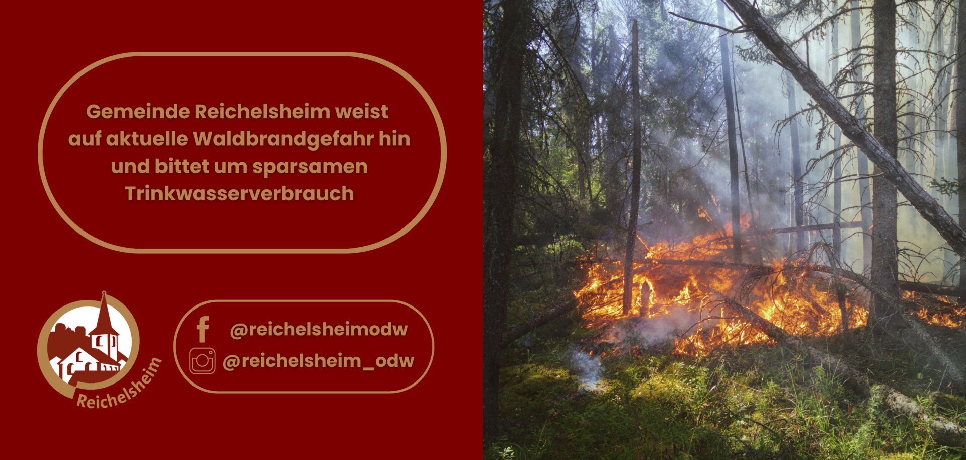 Infografik: Reichelsheim weist auf Waldbrandgefahr hin und bittet um sparsamen Trinkwasserverbrauch. Rechts brennt Unterholz im Wald.