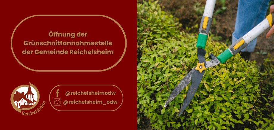 Werbebanner der Gemeinde Reichelsheim: Die linke Seite auf dunkelrotem Hintergrund kündigt die 'Öffnung der Grünschnittannahmestelle der Gemeinde Reichelsheim' an und zeigt das Gemeindelogo sowie Social Media Handles für Facebook (@reichelsheimodw) und Instagram (@reichelsheim_odw). Die rechte Seite zeigt eine Nahaufnahme von Gartenscheren, die einen grünen Busch schneiden."  Option 3 (Sehr detailliert, beschreibt