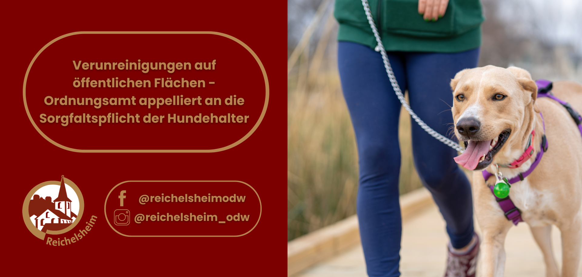 Grafik mit Textaufruf: „Verunreinigungen auf öffentlichen Flächen – Ordnungsamt appelliert an die Sorgfaltspflicht der Hundehalter“, daneben Frau führt Hund.