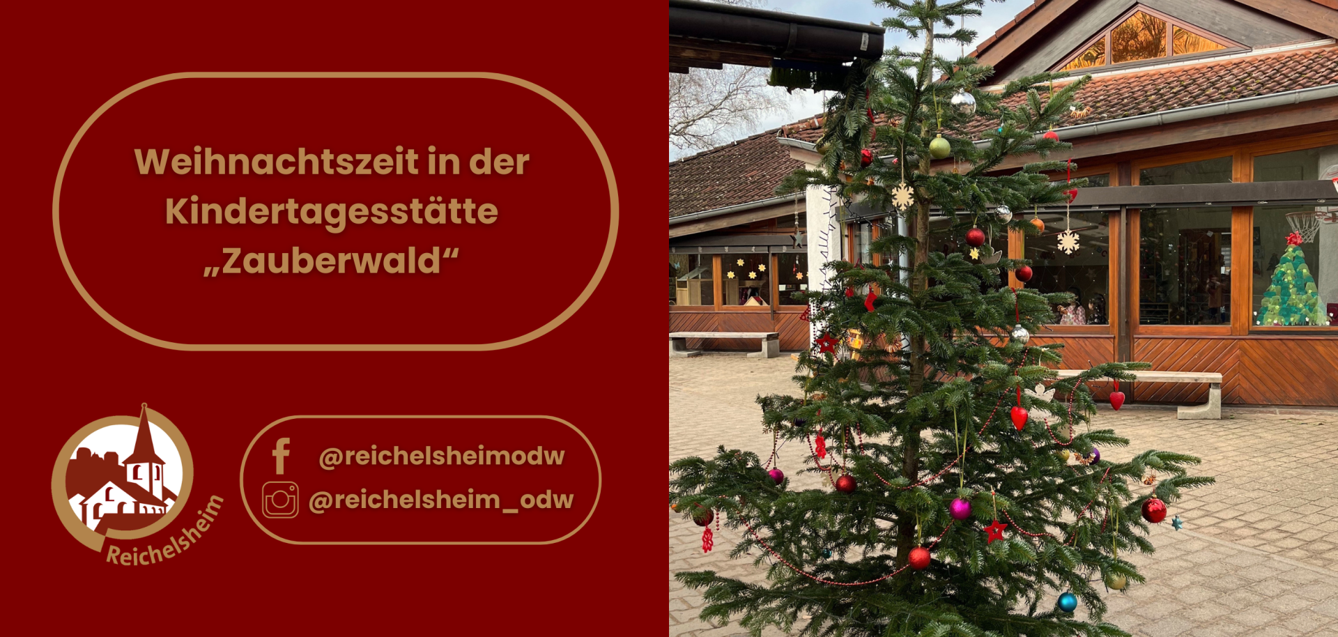 Grafik mit einem Foto und Text. Rechts zeigt das Foto einen festlich geschmückten Weihnachtsbaum mit bunten Kugeln und Sternen, der auf einem gepflasterten Hof vor einem Gebäude mit großen Fenstern steht. Hinter den Fenstern sind weitere Weihnachtsdekorationen wie Sterne und ein kleiner Baum zu sehen. Links auf rotem Hintergrund steht in einem goldgerahmten Feld der Text: 'Weihnachtszeit in der Kindertagesstätte „Zauberwald“'. Darunter sind das Logo von Reichelsheim und die Social Media Accounts @reichelsheimodw (für Facebook) und @reichelsheim_odw (für Instagram) abgebildet.