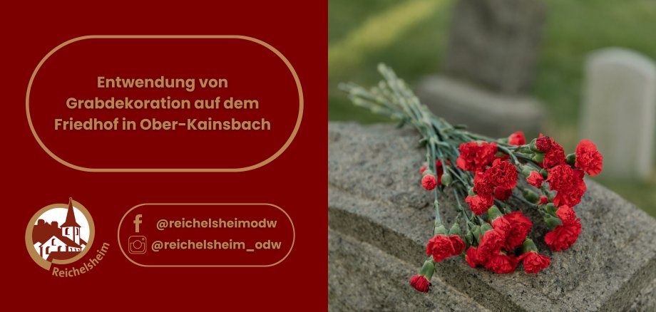 Vorlage Homepage 2025 - 1