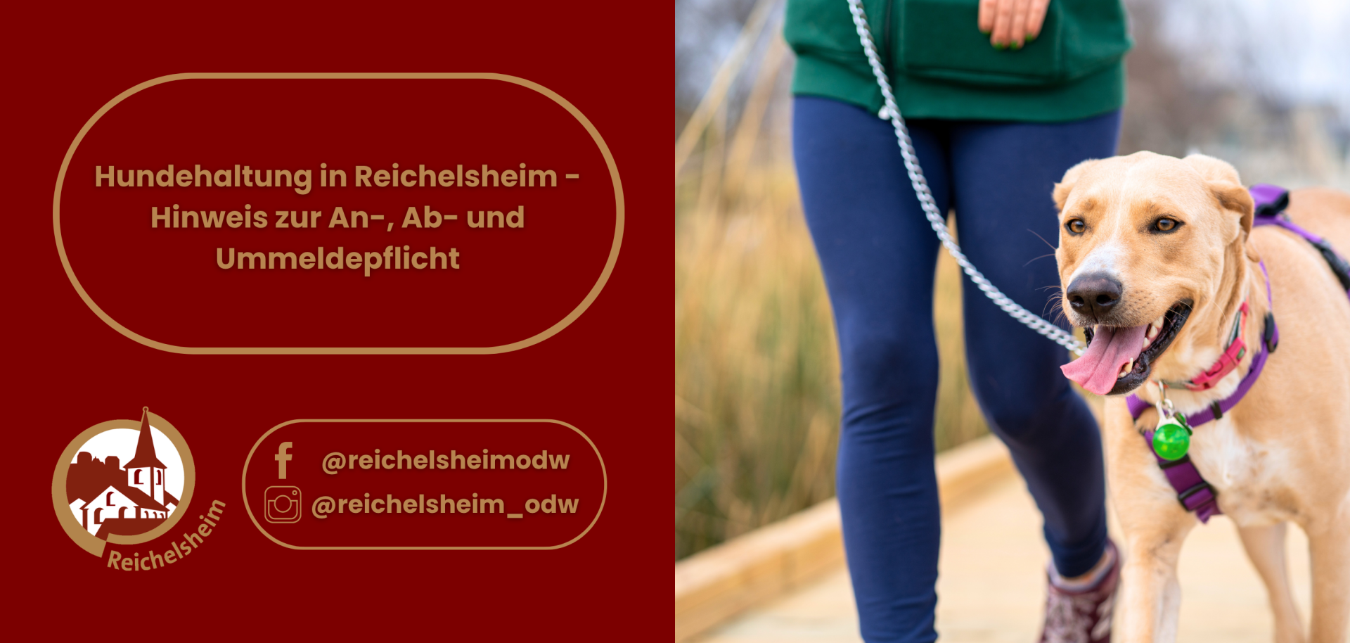 Grafik zur Hundehalterpflicht in Reichelsheim mit Hinweis auf An-, Ab- und Ummeldung; daneben ein Hund an der Leine.